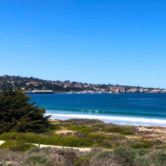 Meet your Posher, Opalriver - Picture 1 of 1